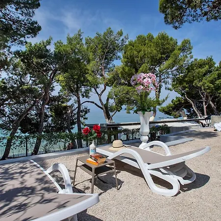 Maison d'hôtes Luxury Paradise Garden